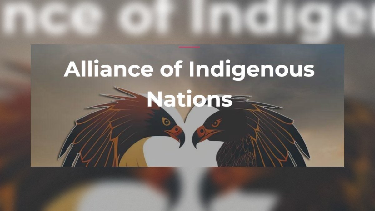 Logo of the Alliance of Indigenous Nations featuring two stylized eagles facing each other, symbolizing unity and strength among Indigenous communities.