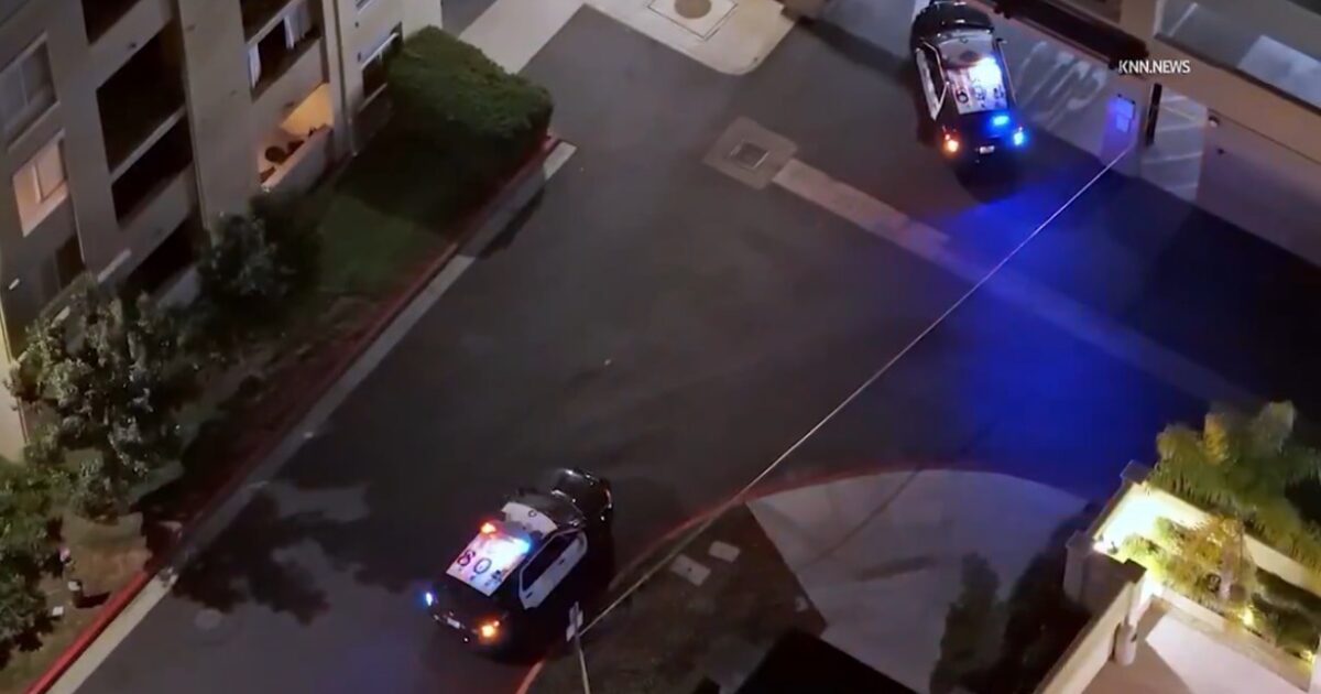 Police vehicles with flashing lights are stationed in a residential area, indicating a potential investigation or emergency situation.