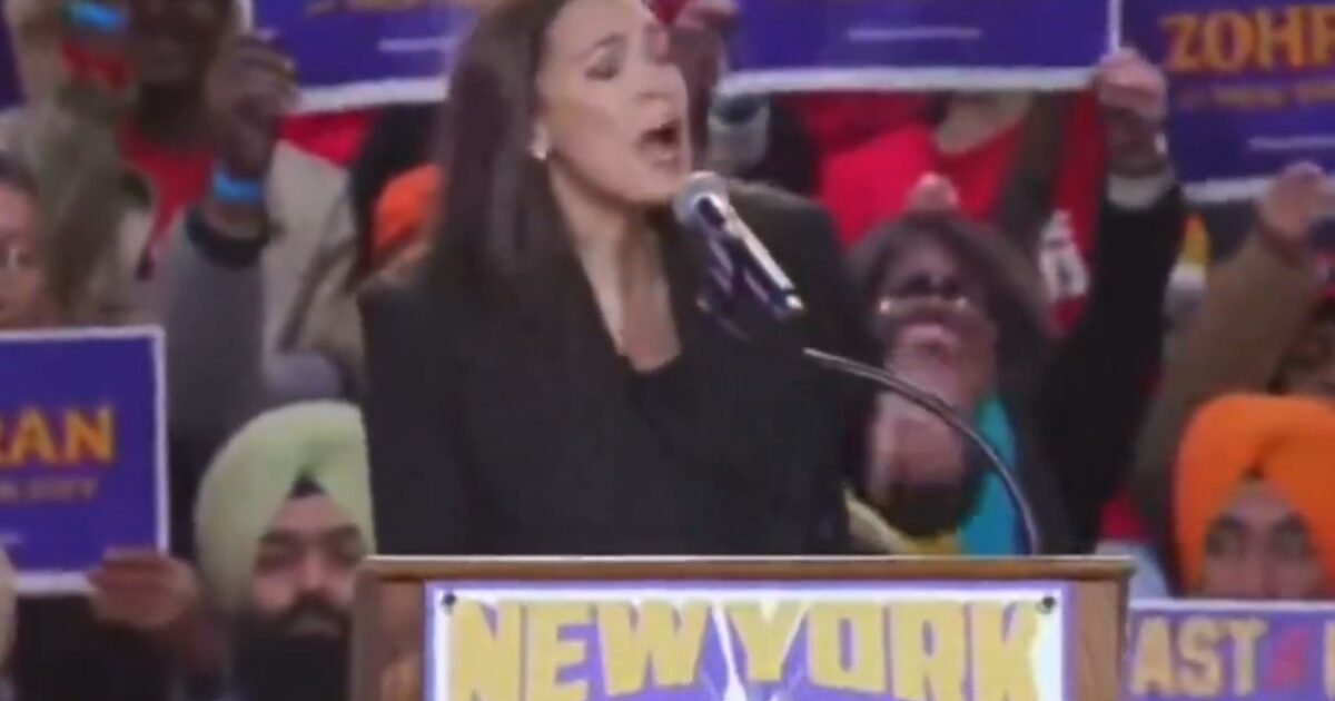 Kamala Harris delivers a speech at a political rally in New York, energizing the crowd holding signs in support of local candidates.
