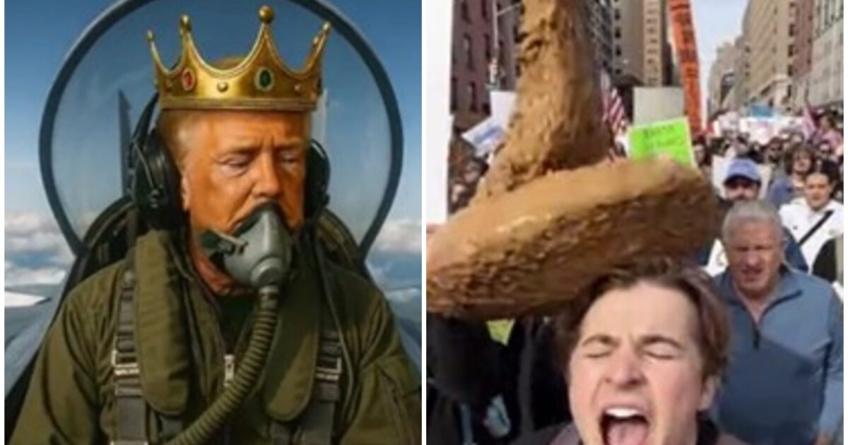 A split image featuring a pilot wearing a crown in a fighter jet cockpit and a protestor with a humorous oversized prop on his head during a demonstration.