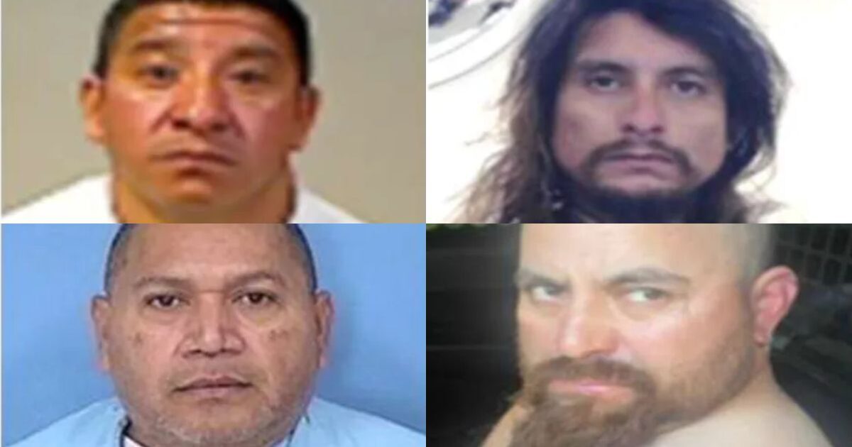 Four mugshots of individuals, showcasing varying hairstyles and expressions, each representing different backgrounds and circumstances.