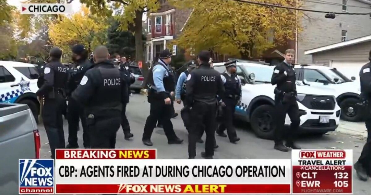 Police officers and agents are gathered at a scene in Chicago during a law enforcement operation with vehicles and autumn foliage in the background.