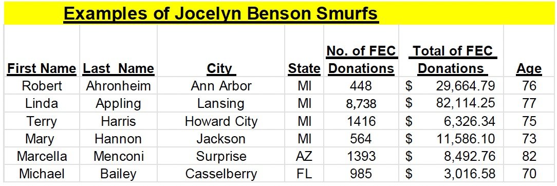Table displaying examples of donations by individuals to Jocelyn Benson, including names, cities, states, number of FEC donations, total donation amounts, and ages.