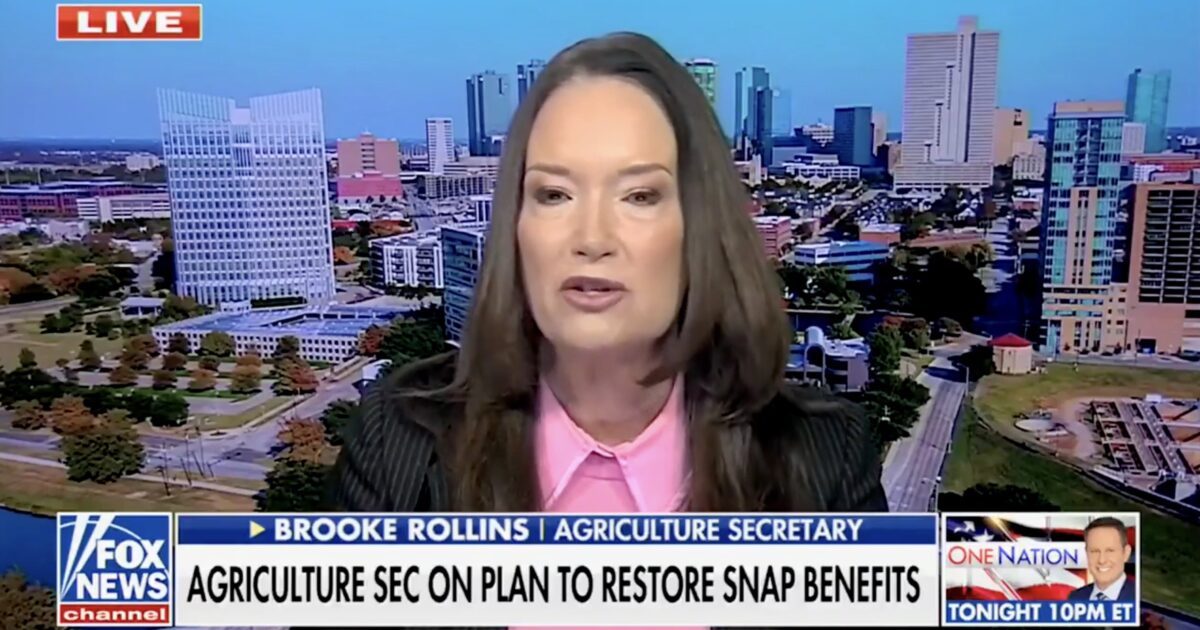 Agriculture Secretary Brooke Rollins discusses plans to restore SNAP benefits against a backdrop of a city skyline during a live Fox News broadcast.
