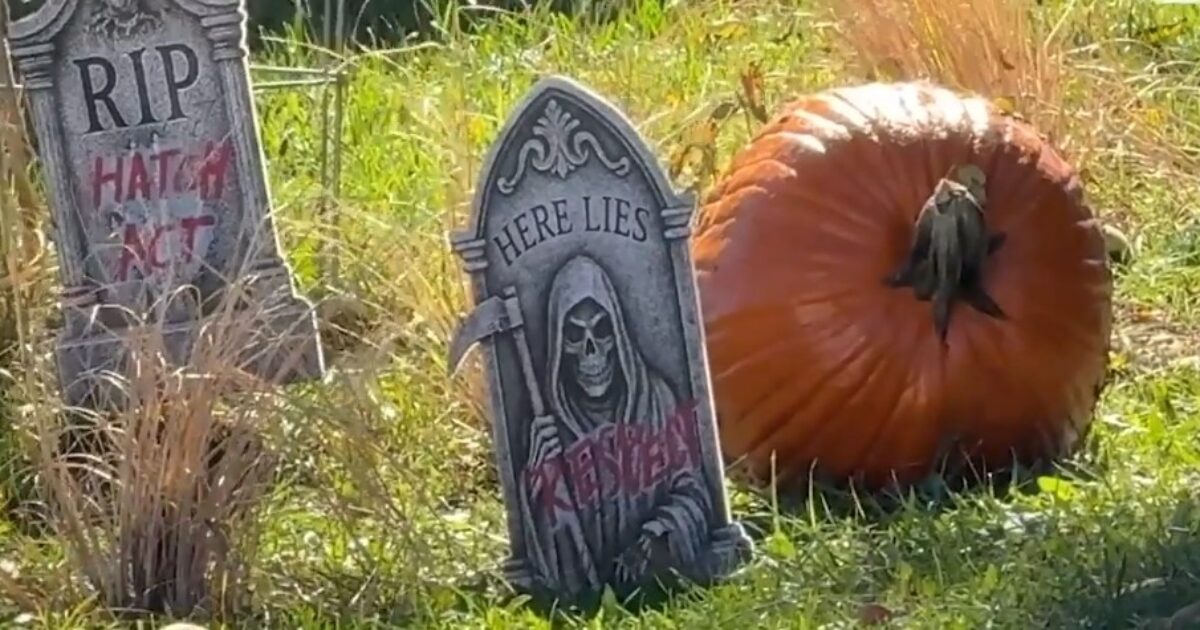 Gravestones with Halloween themes alongside a large pumpkin in a grassy yard, creating a spooky autumn atmosphere.