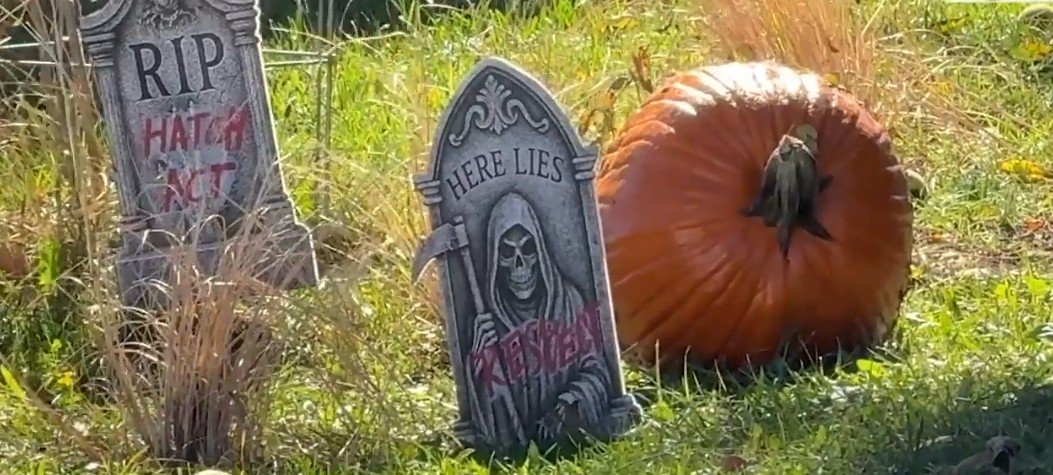 Gravestones with Halloween themes alongside a large pumpkin in a grassy yard, creating a spooky autumn atmosphere.
